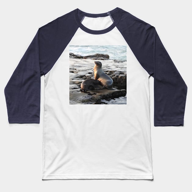 Wildlife gifts, California sea lion, marine life, nature Baseball T-Shirt by sandyo2ly